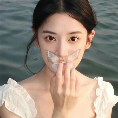 迷蝶