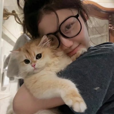 猪太狼的夏天